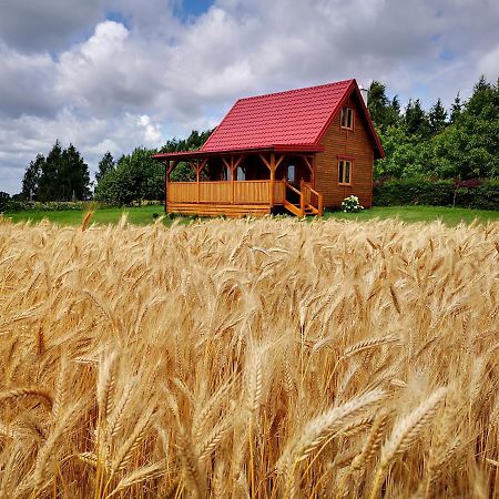 Dorotkowy Domek Wielowies  ภายนอก รูปภาพ
