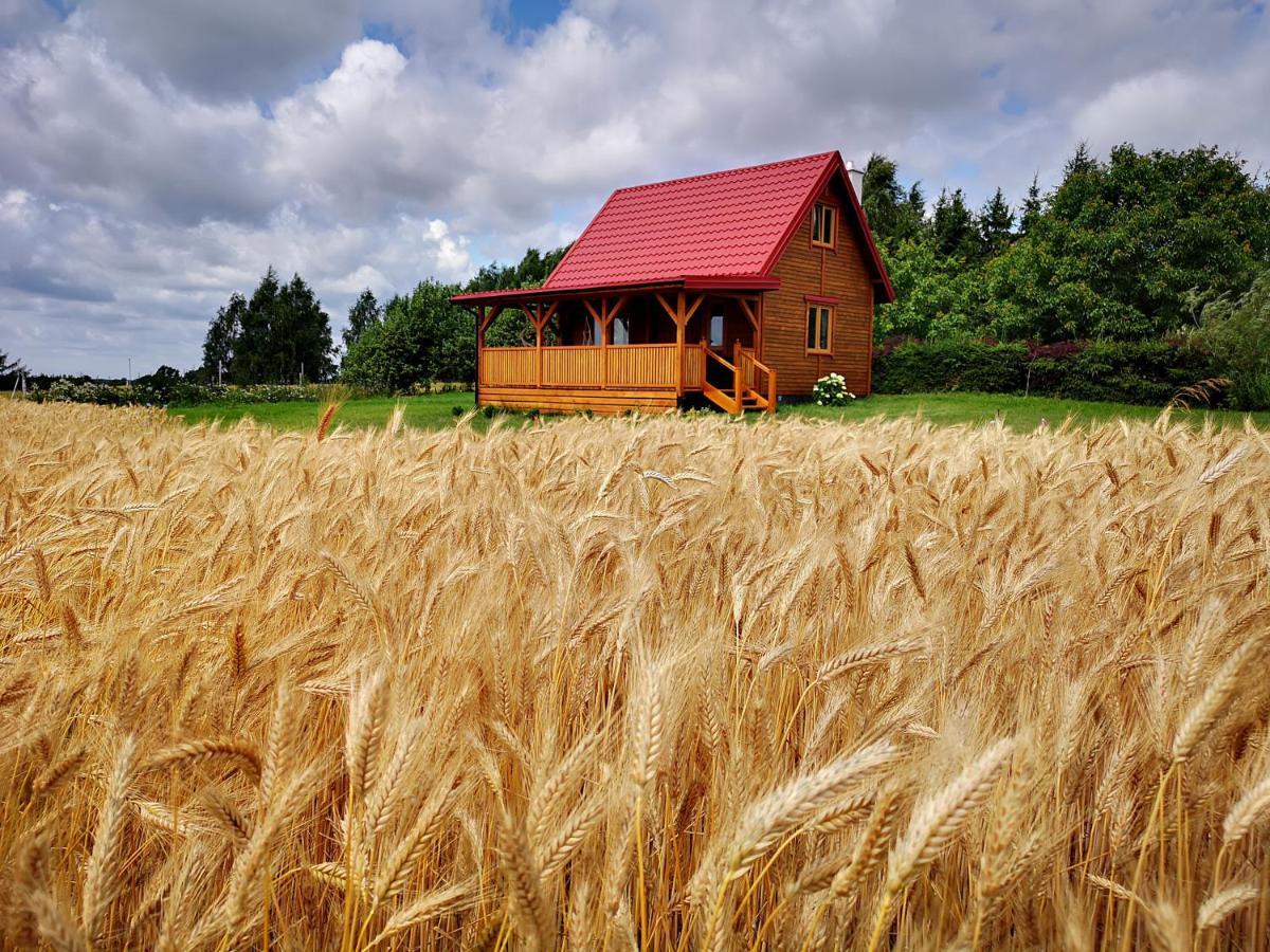Dorotkowy Domek Wielowies  ภายนอก รูปภาพ